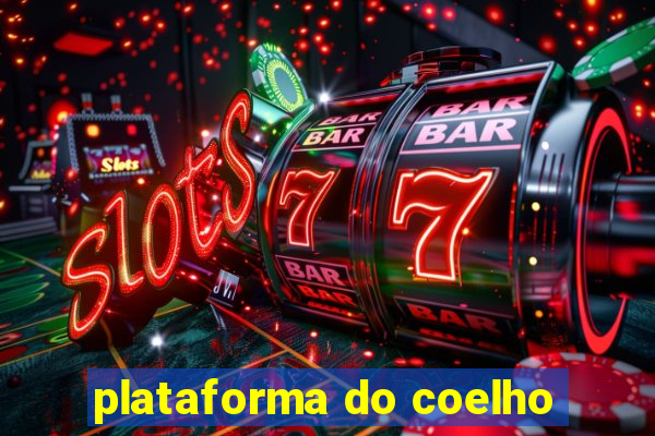 plataforma do coelho